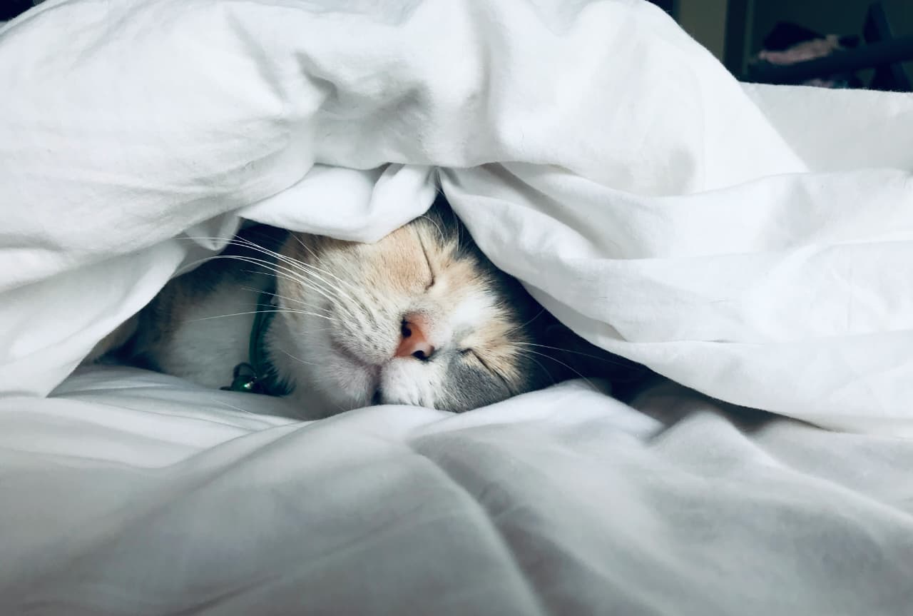 Hidup menjadi dewasa memang banyak berubah, termasuk tidur siang jadi lebih indah