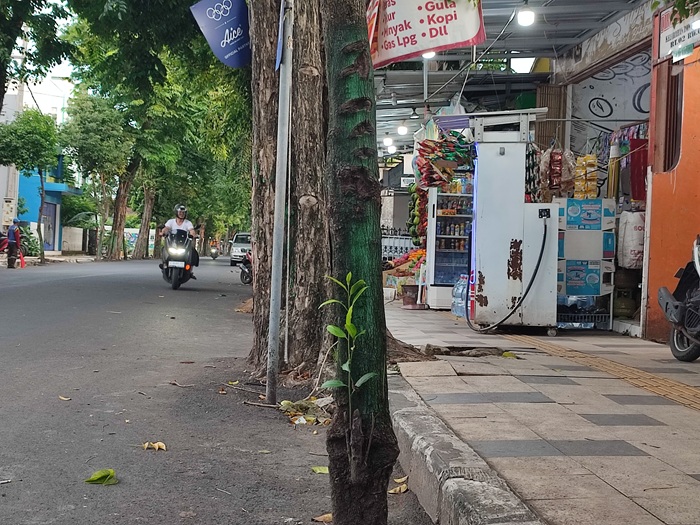 Salah satu ruas trotoar di Jalan Basuki Rachmad Tuban yang ditempati barang dagangan para pemilik usaha.