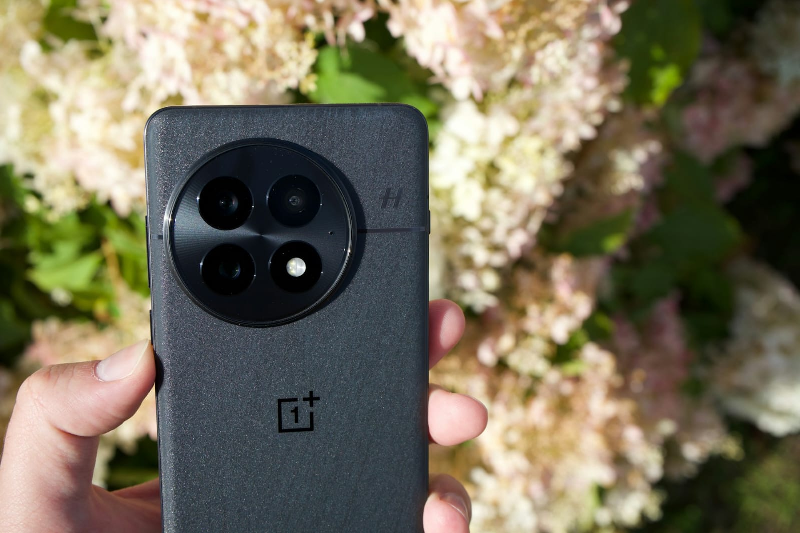 OnePlus bantah isu miring yang mengatakan perusahaannya berada diambang kemunduran.