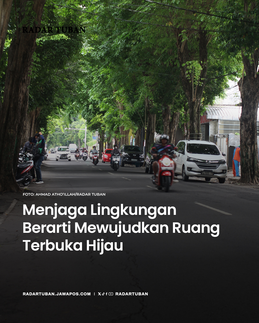 Pohon penghijauan di sepanjang Jalan Basuki Rachmad yang berfungsi sebagai ruang tutupan di wilayah kota.