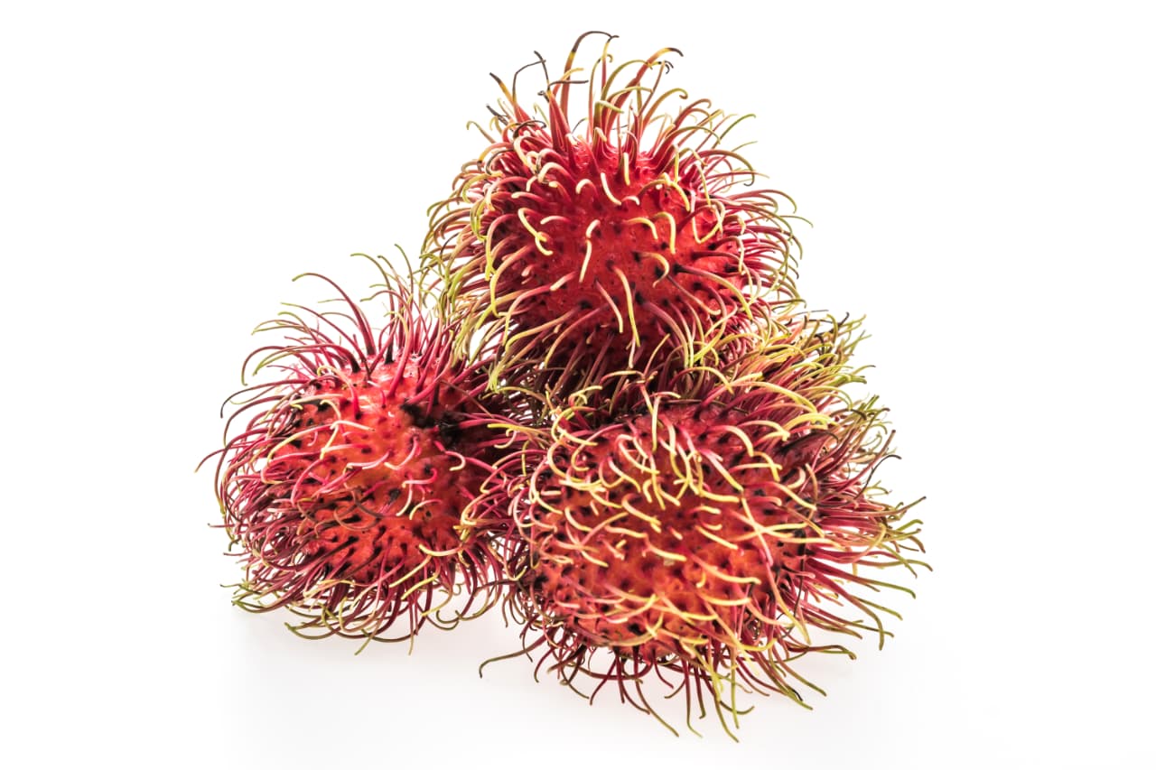 Ilustrasi buah rambutan