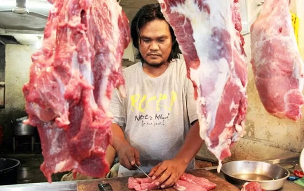 ilustrasi pedang daging