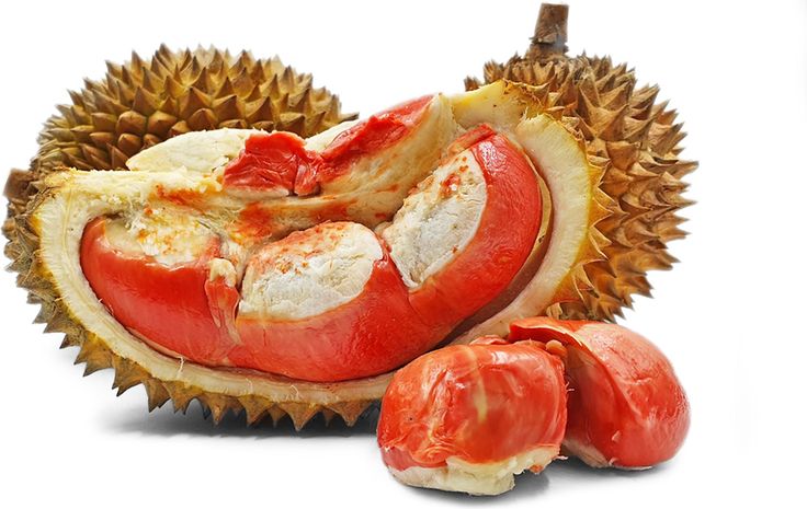 Ilustrasi Durian Merah Banyuwangi ditetapkan sebagai produk IG pertama di Indonesia
