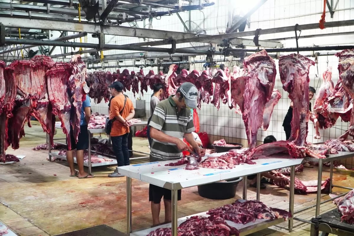 Pemerintah pastikan harga daging sapi dan kerbau akan tetap stabil hingga Ramadan dan Lebaran.