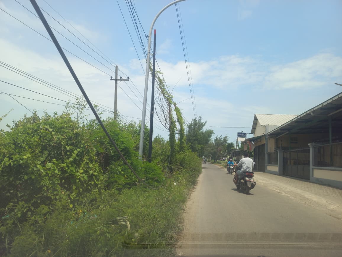 Kabel jaringan privider internet menggantung hingga menyentuh tanah di Desa Pliwetan, Kecamatan Palang.