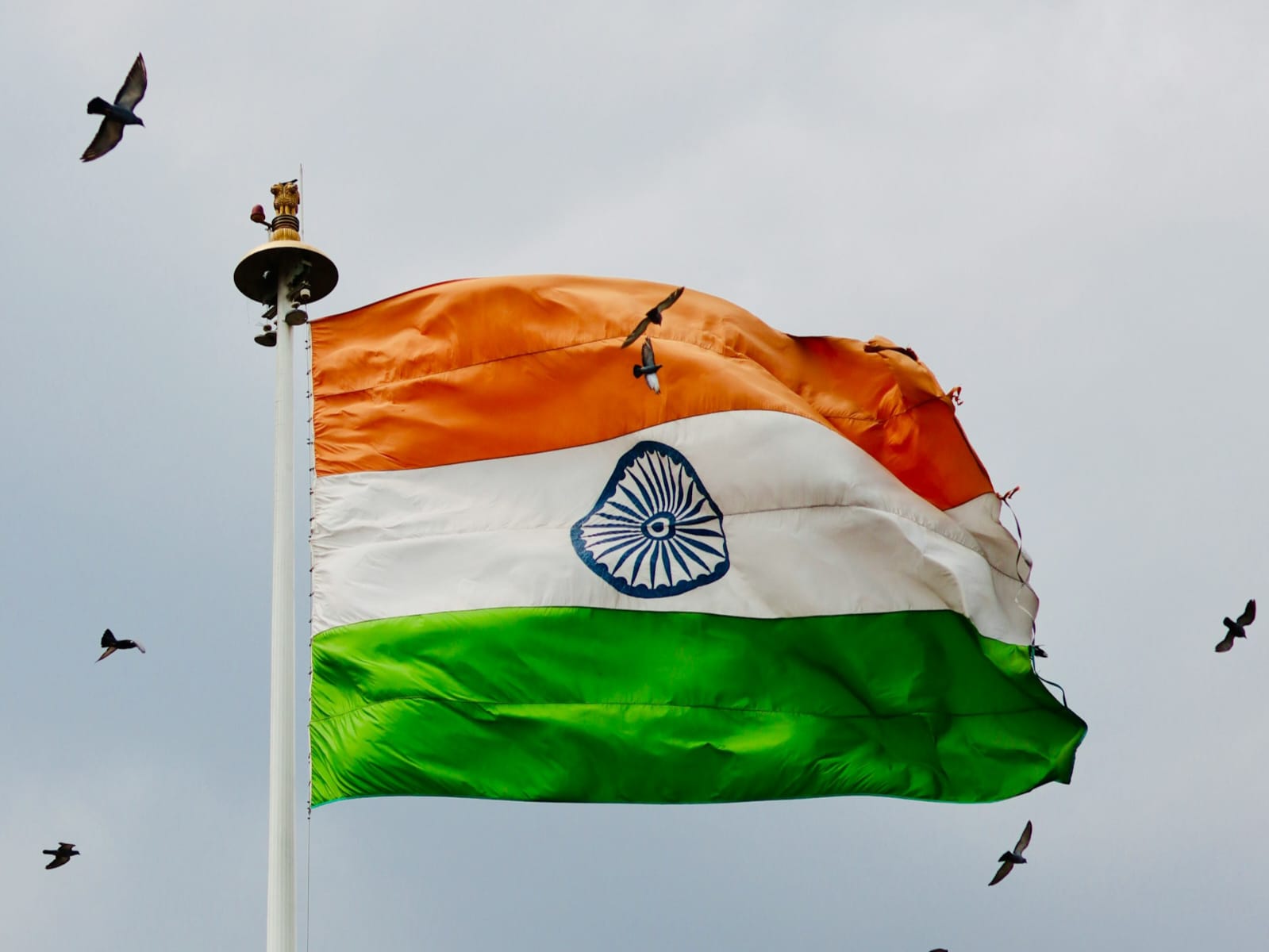 India siap punya merek ponsel baru dalam waktu 18 bulan kedepan.