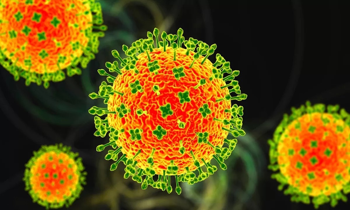 Ilustrasi virus Nipah yang dapat menular dari hewan ke manusia.