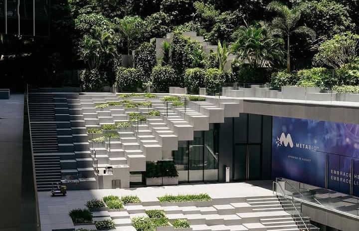 Perkebunan Perkotaan di Hong Kong 