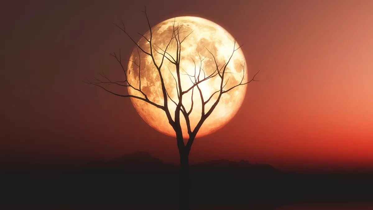 Ilustrasi gerhana bulan