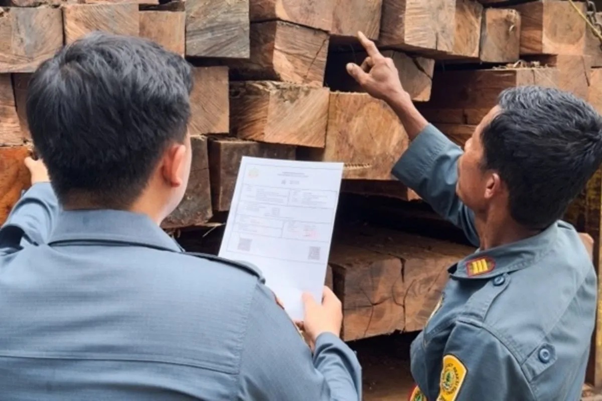 Petugas Gakkum Kemenhut memeriksa kayu yang tidak memiliki dokumen sah di Sulawesi Selatan.