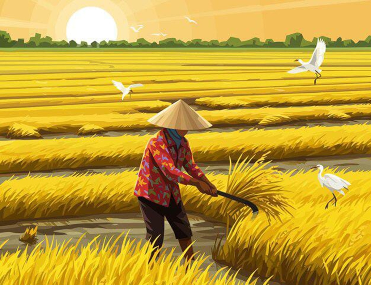 Ilustrasi petani di sawah
