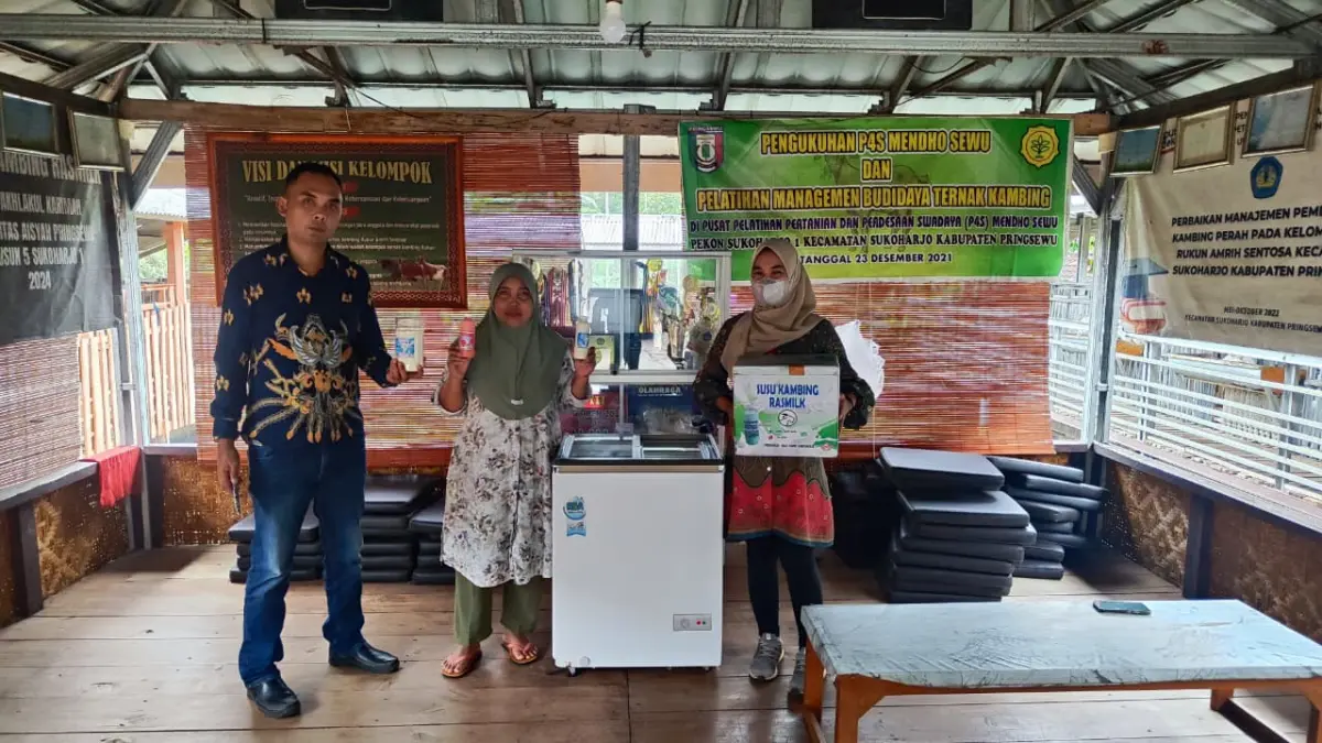 Ras Farm di Lampung berkembang dari satu kambing jadi ratusan berkat KUR BRI. (Istimewa)