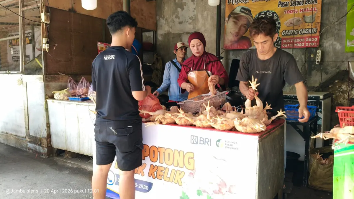 Program KUR BRI membantu pelaku UMKM Kediri mengembangkan usaha ayam potong. (Dok. BRI)