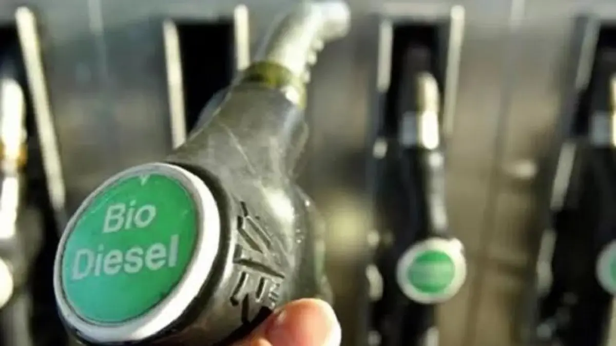 Ilustrasi Biodiesel. (Jawapos.com)