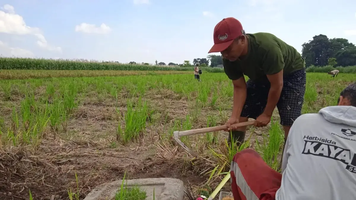 Warga pindahkan Yoni Wates. (RADAR KEDIRI)