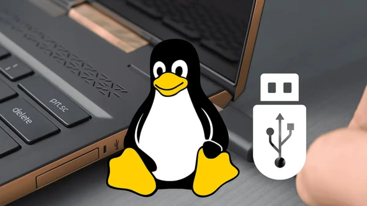 Linux selangkah lagi akan mendapatkan dukungan HDMI 2.1 dari AMD. (RaspberryTips/Pinterest)