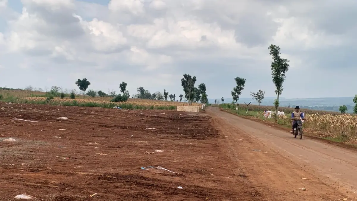 Bekas lahan parkir kegiatan Panen Raya Jagung Serentak di area pesanggem Dusun Bribin, Desa Tuwiriwetan, Kecamatan Merakurak yang diuruk menggunakan beton nol. (ANDREYAN/RADAR TUBAN)