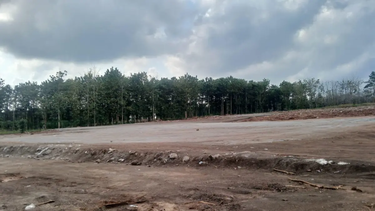 Lahan persil di bekas lokasi panen raya jagung di Dusun Bribin, Desa Tuwiriwetan, Kecamatan Merakurak yang diuruk menggunakan semen reject.&nbsp; (ANDREYAN/RADAR TUBAN)