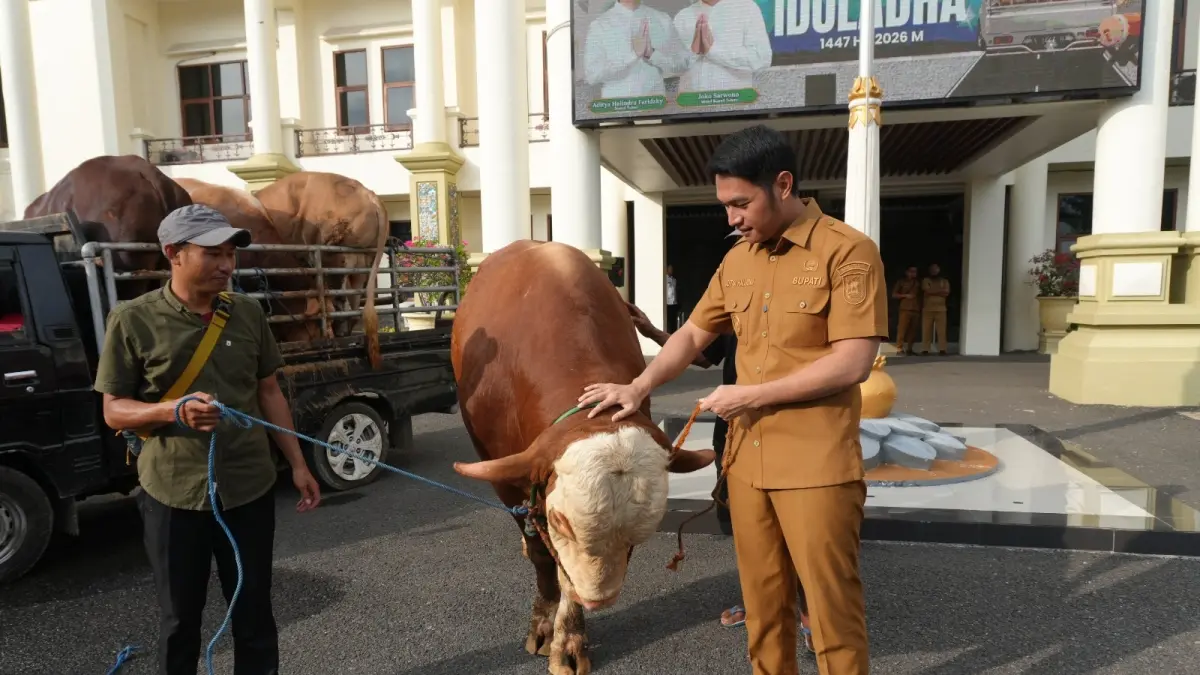 Bupati Aditya Halindra Faridzky menyerahkan bantuan hewan kurban dari Presiden Prabowo untuk warga di Desa Sidomukti, Kecamatan Kenduruan, kemarin (26/5). (DISKOMINFO-SP UNTUK RADAR TUBAN)