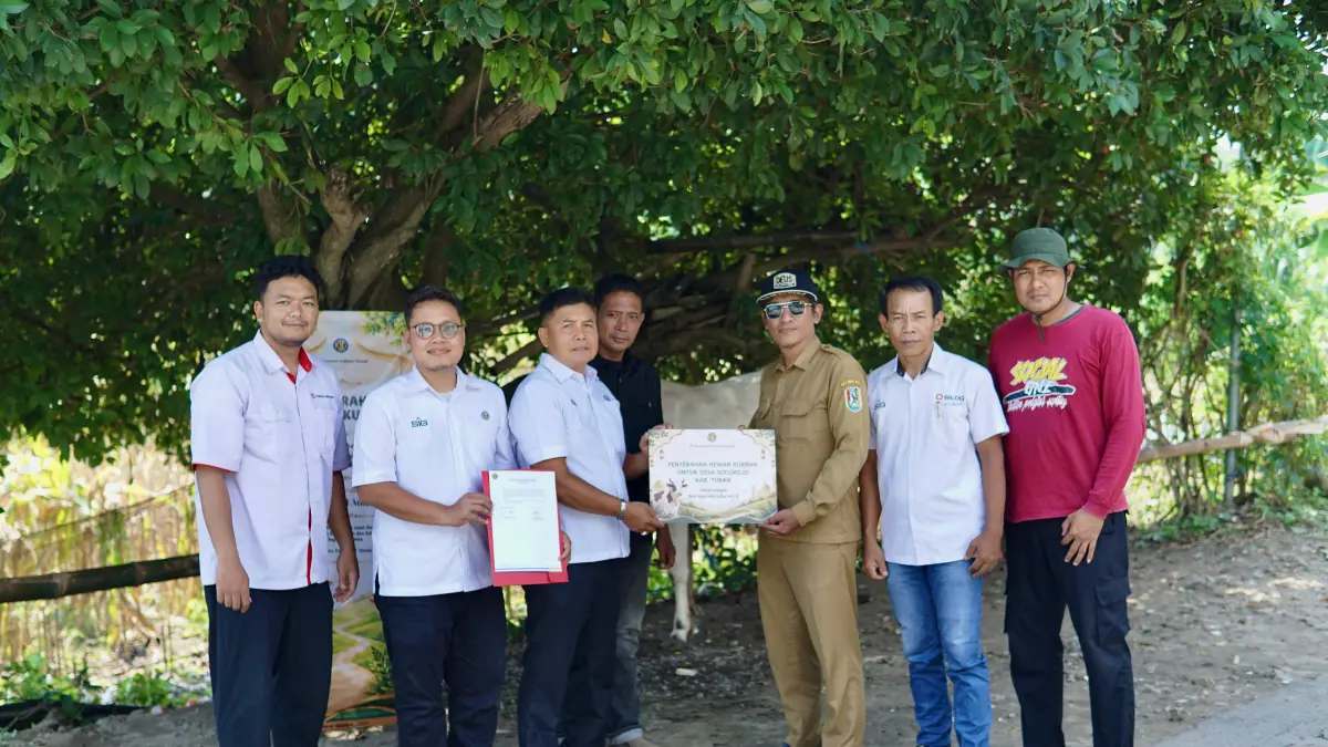 Penyaluran daging kurban PT KIG ke Desa Karangasem, Kecamatan Socorejo. 