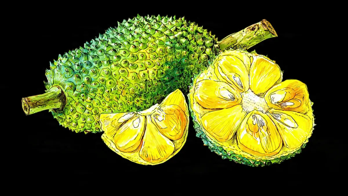 Ilustrasi buah nangka. (RADARTUBAN/AI)