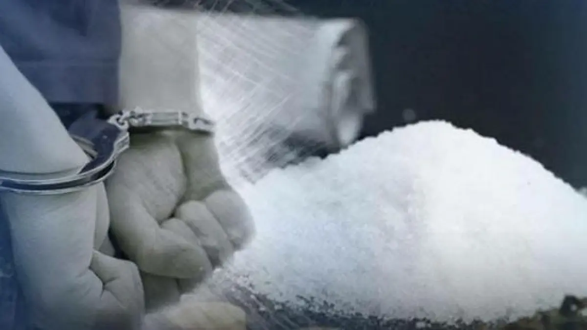 Polisi amankan 12 orang penyeludupan narkotika. terdapat 1 orang (WNA). (pinterest.com)