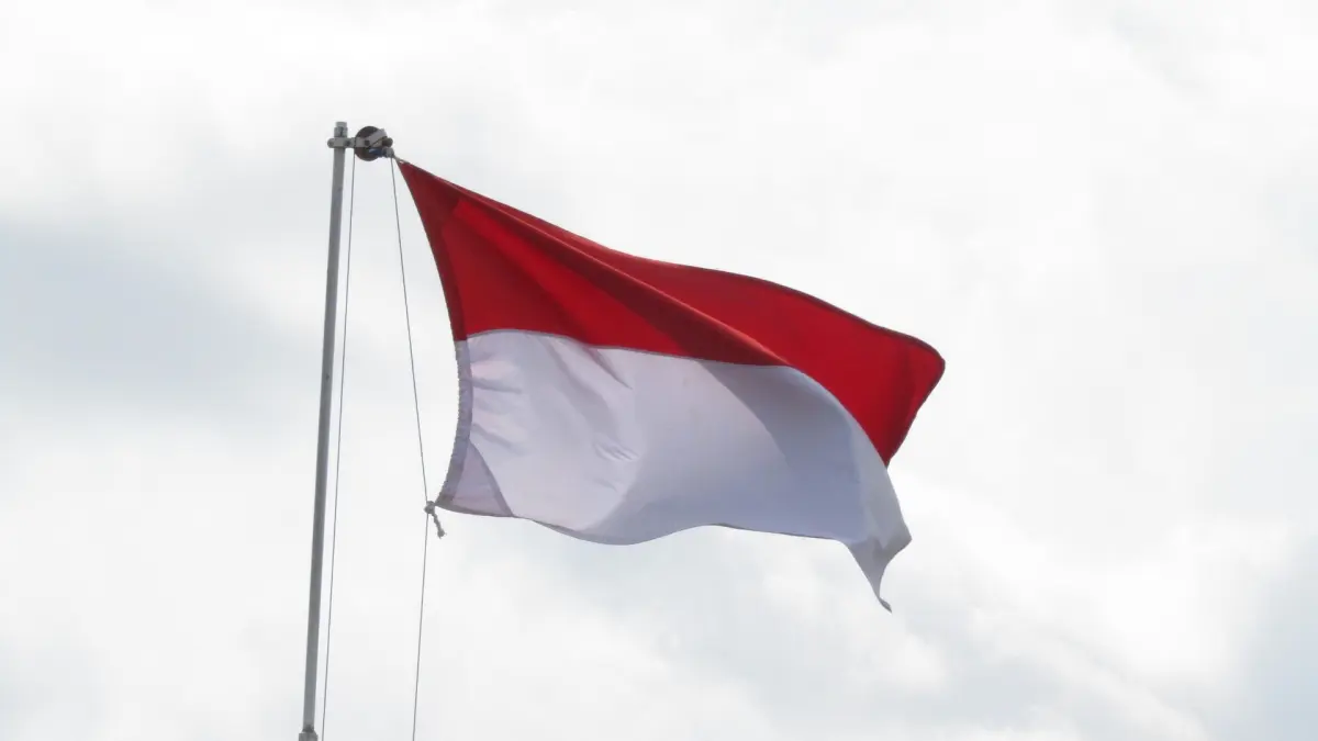 Banyak yang mengira Indonesia menjadi negara ASEAN pertama yang merdeka. (pixabay.com/mufidpwt)