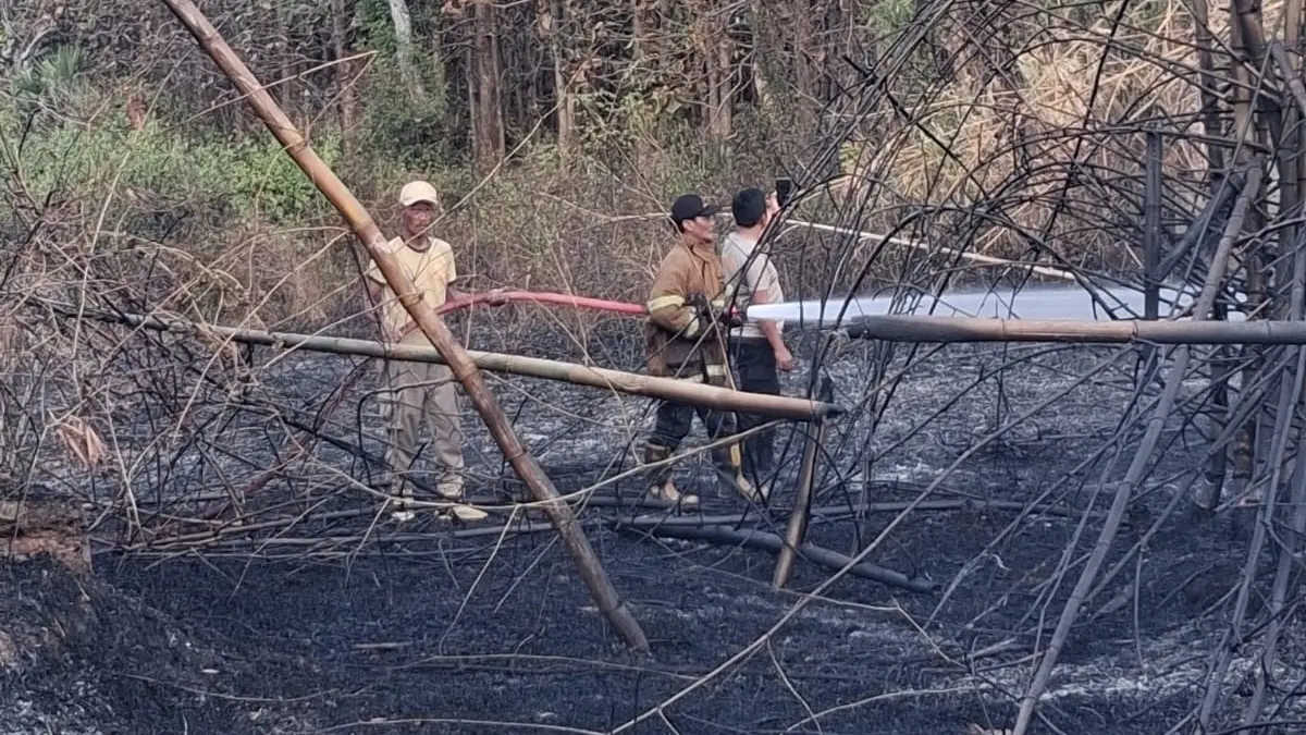 Damkar Tuban mencatat pola kebakaran lahan berubah pada musim kemarau. Warga diminta mewaspadai seluruh wilayah karena mayoritas dipicu kelalaian manusia. (DAMKAR TUBAN UNTUK RADAR TUBAN)