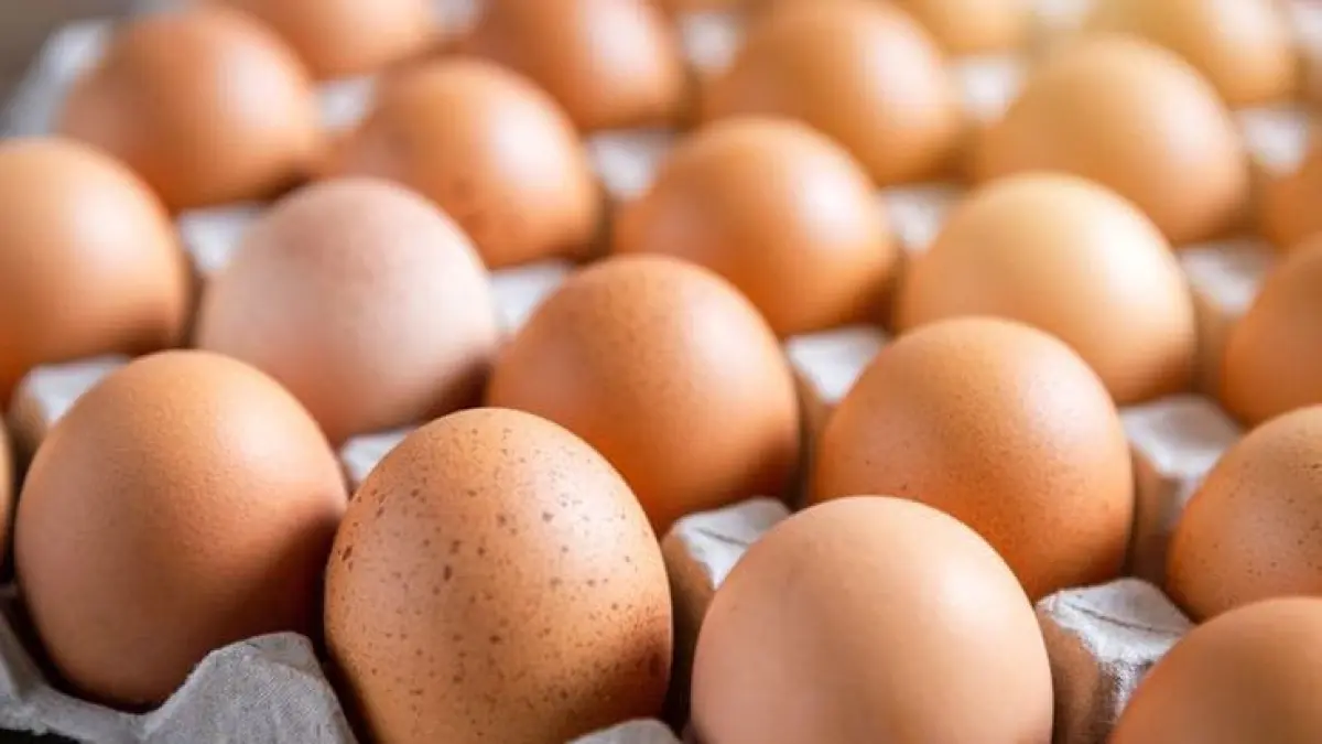 Ilustrasi telur. (pinterest.com)