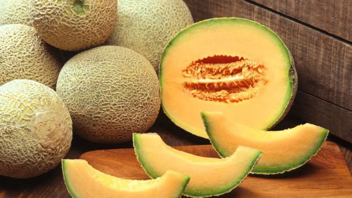 Ilustrasi melon. (pinterest.com)