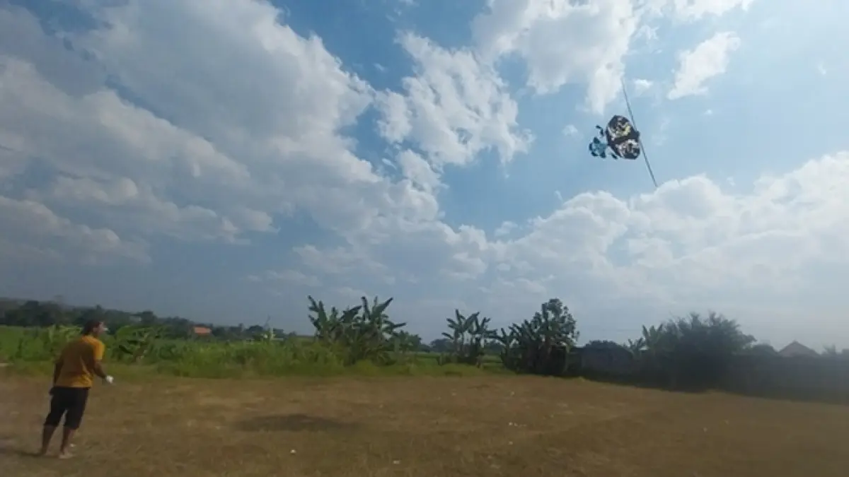Layangan sowangan milik Timin diterbangkan di persawahan Desa Sugiharjo, Kecamatan Tuban, Jumat (24/7). (M. Mahfudz Muntaha/Radar Tuban)