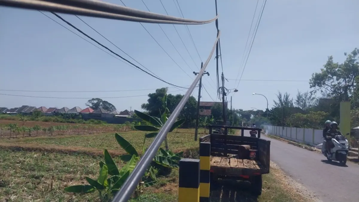 Kondisi kabel fiber optic di Desa Sugiharjo, Kecamatan Tuban yang terjuntai ke tanah dan dibiarkan begitu saja tanpa penertiban. (M. Mahfudz Muntaha/Radar Tuban)