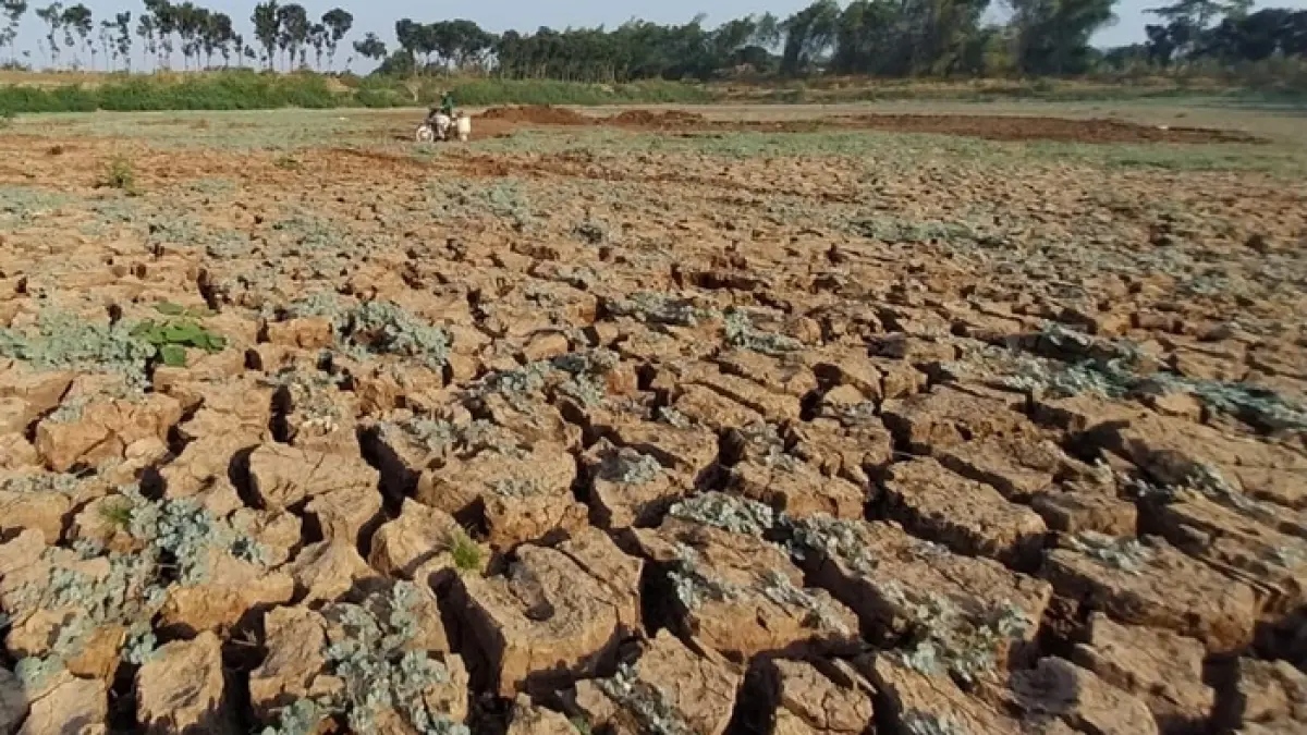 Kondisi sungai di Desa Sambongrejo, Kecamatan Semanding tampak mengering dengan dasar sungai yang merekah, kemarin (9/8). (Andreyan/Radar Tuban)