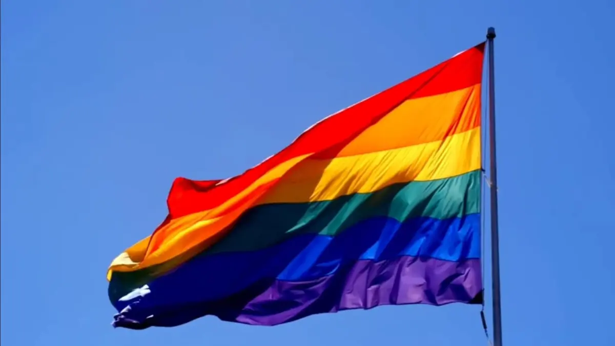 Ilustrasi bendera LGBTQ (Tangkap layar dari video YouTube Kanal Daexplorers-3ex)