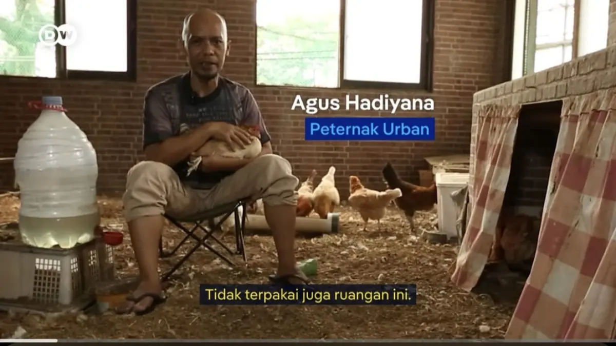 Agus Hadiyana, peternak urban, bersama ayam-ayam petelurnya di kamar Kos. (Tangkapan layar YouTube DW Indonesia))
