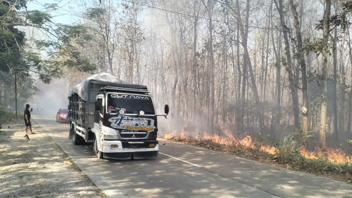 Lahan di area hutan jati di Desa Gesing, Kecamatan Semanding terbakar pada Senin sore hingga malam. Kondisi ini memicu asap tebal yang mengganggu lalu lintas. (Dok. Jawa Pos Radar Tuban)
