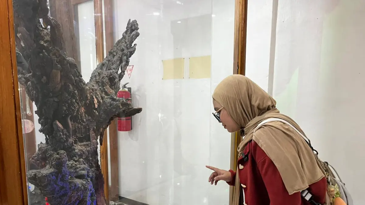 Salah seorang pengunjung Museum Kambang Putih tengah mengamati Kalpataru. (Shafa Dina Hayuning Mentari/ Radar Tuban)