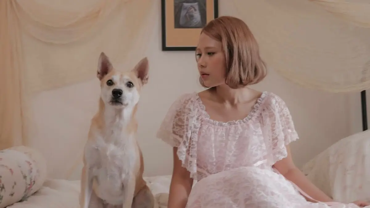 Nadin Amizah rilis album Laika, Yang Ditinggalkan. (instagram.com/ Nadin Amizah)