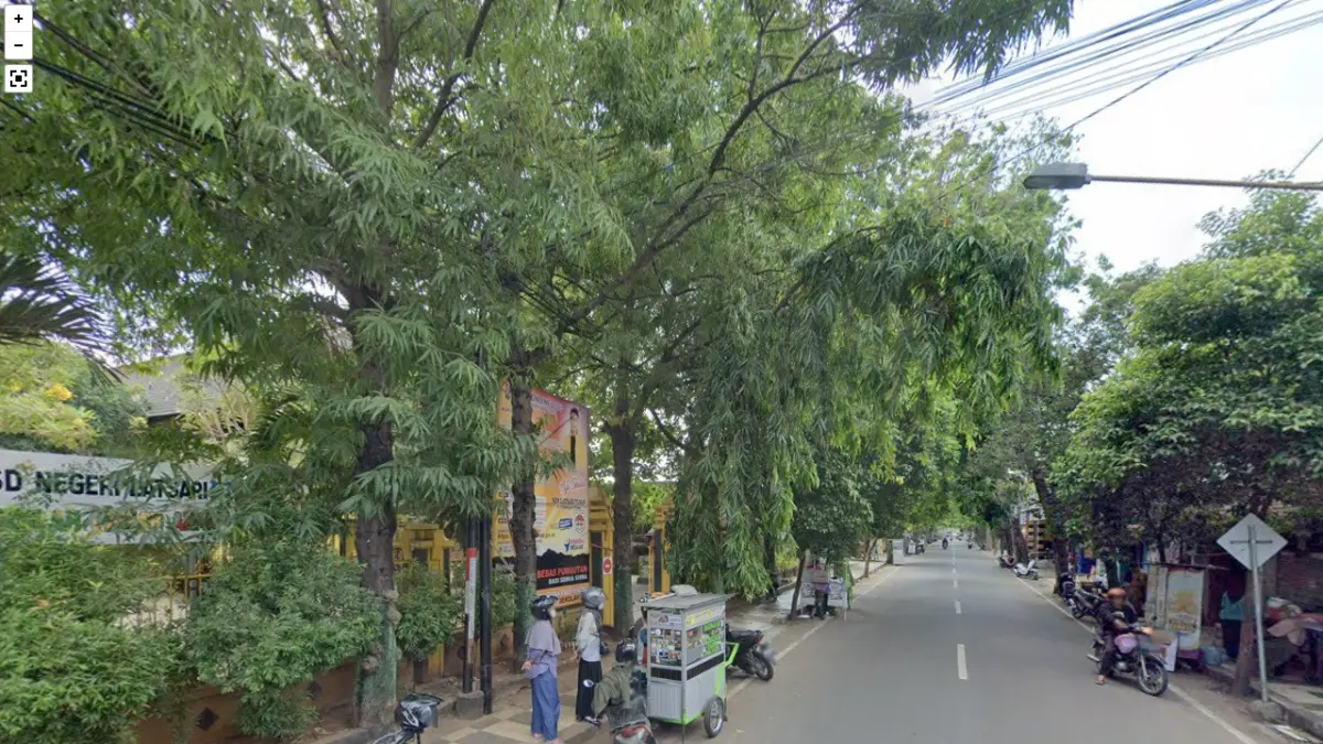 Potret pohon sono berusia puluhan tahun di Jalan Diponegoro Tuban ditebang untuk revitalisasi drainase. (Google Maps 2023)