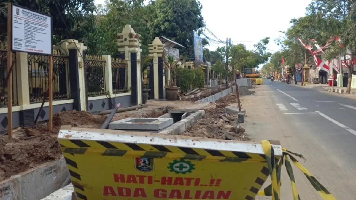 Revitalisasi drainase Jalan Diponegoro Tuban berdampak pada penebangan puluhan pohon tua yang memiliki fungsi ekologis dan resapan air. (Ahmad Atho