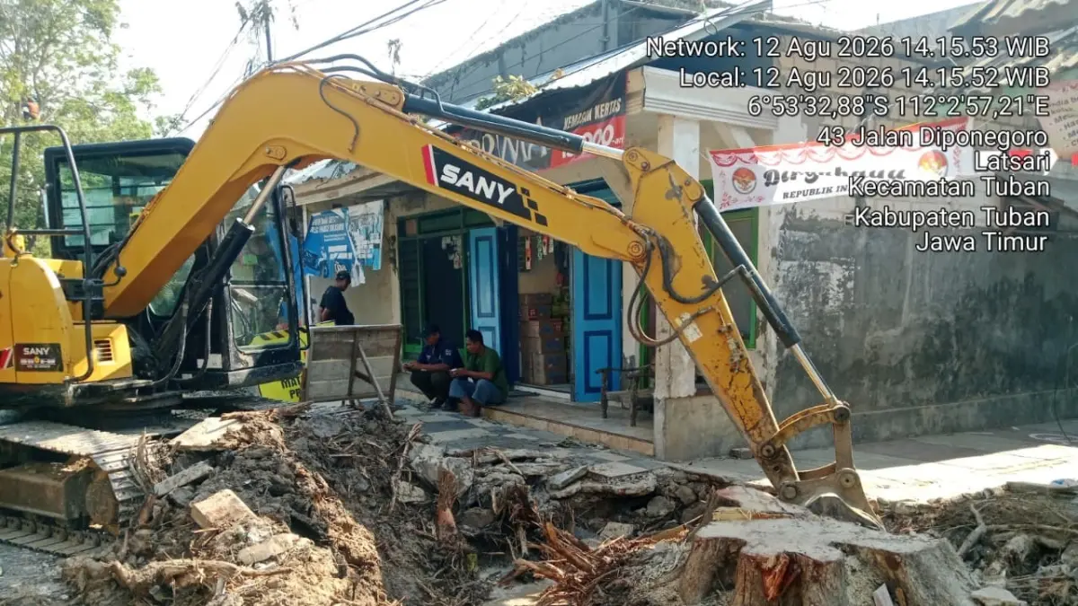 Penampakan sejumlah pohon angsana berusia puluhan tahun di Jalan Diponegoro yang ditebang habis karena dampak proyek revitalisasi drainase.(Radar Tuban)
