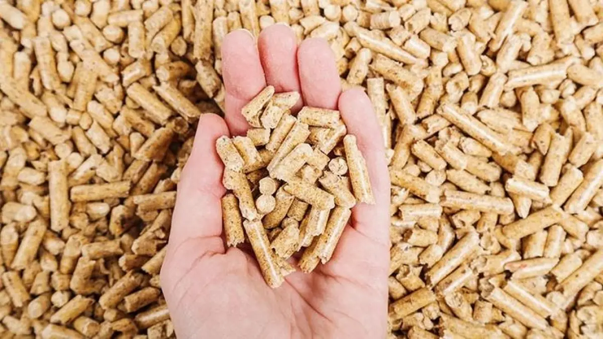 Produk pelet kayu (wood pellet) siap kemas. (pinterest.com)