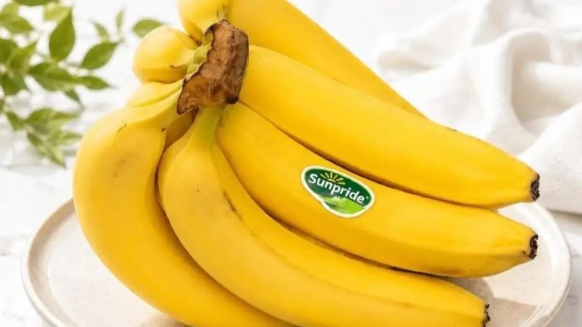 Pisang Cavendish Sunpride, salah satu hasil produksi perkebunan Nusantara Tropical Farm. (Pinterest)
