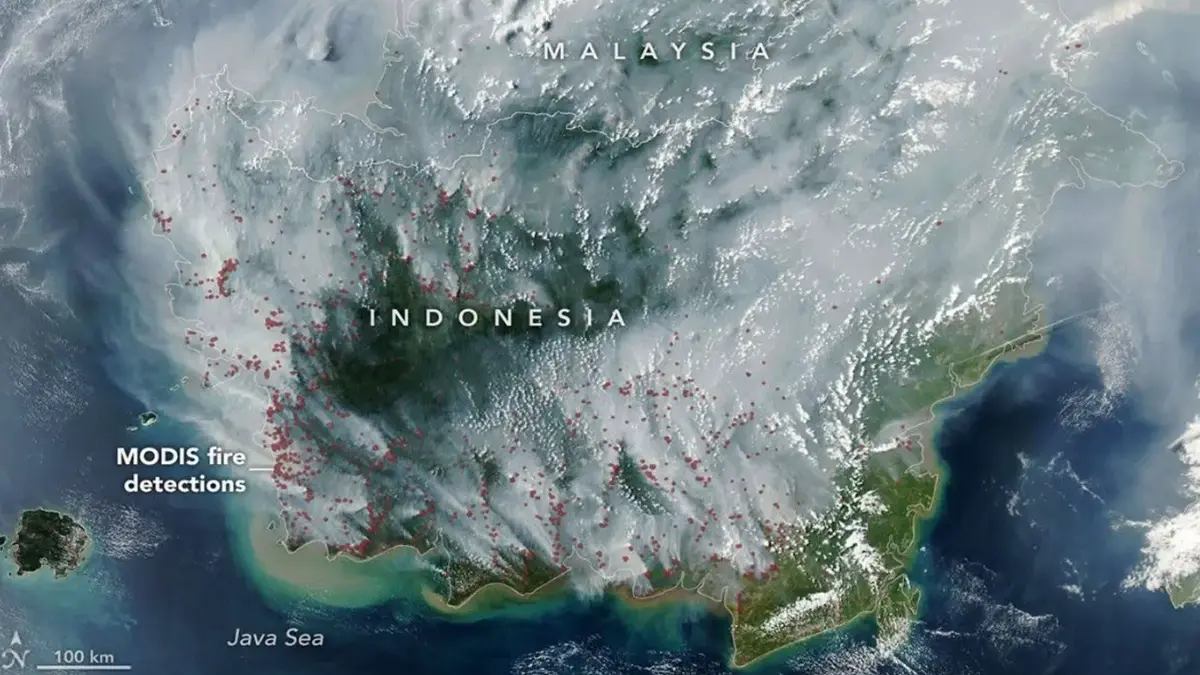 NASA tangkap kepulan asap karhutla Kalimantan yang tembus hingga Filipina. (Tangkapan layar media sosial)