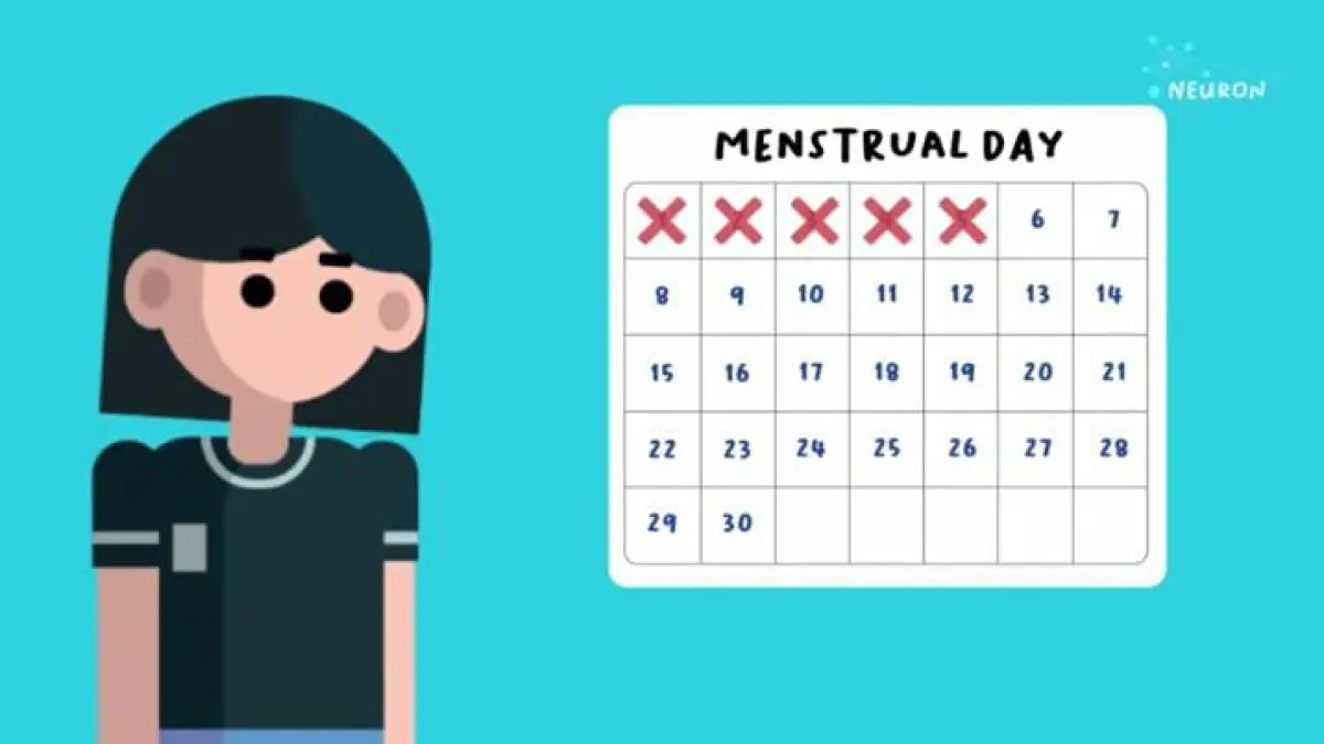  ilustrasi jadwal menstruasi seorang perempuan. (Tangkapan layar YouTube Neuronmedia)