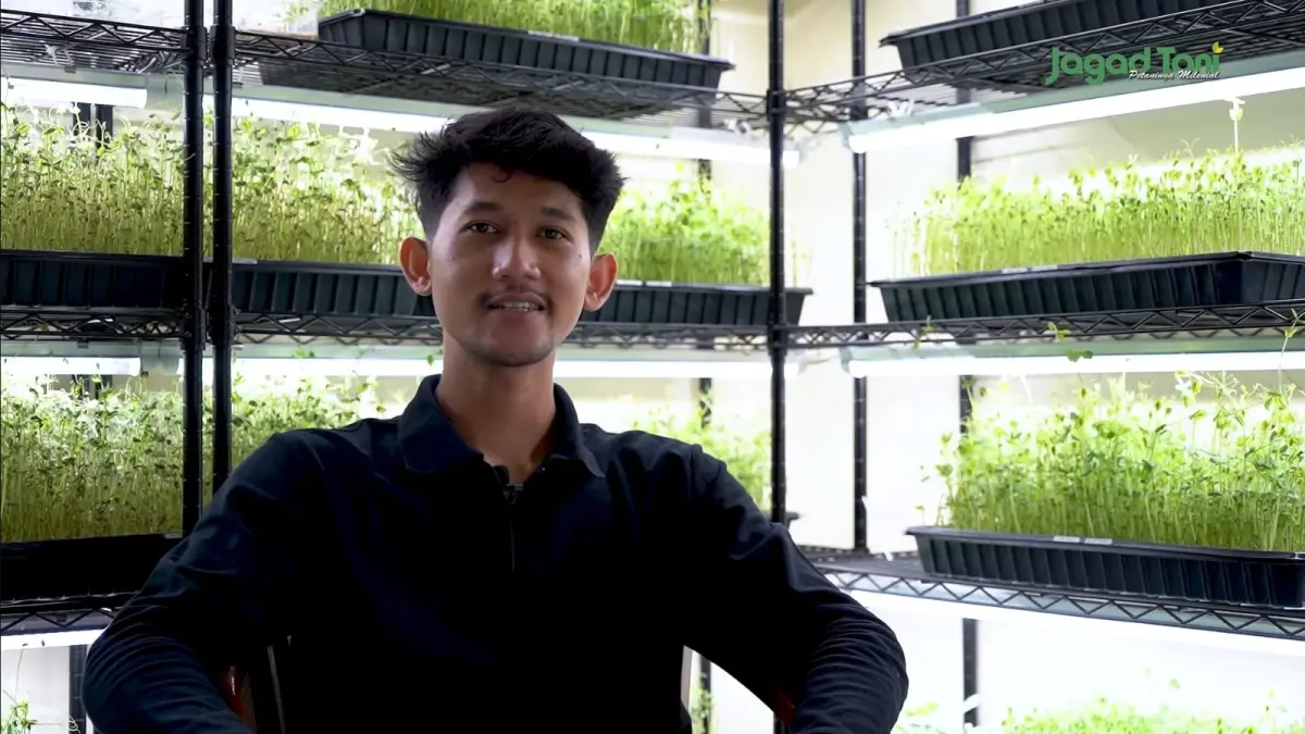 Hernando di tengah instalasi rak budidaya microgreens miliknya di Bogor. (Tangkapan layar youtube.com jagadtanitv)