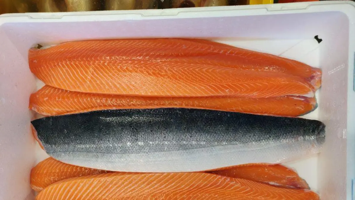 Tampilan fillet ikan salmon segar berkualitas tinggi. (Pinterest)