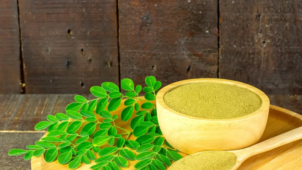 Dr. Sadam Ismail ungkap manfaat dan cara konsumsi daun kelor. (pixabay.com)