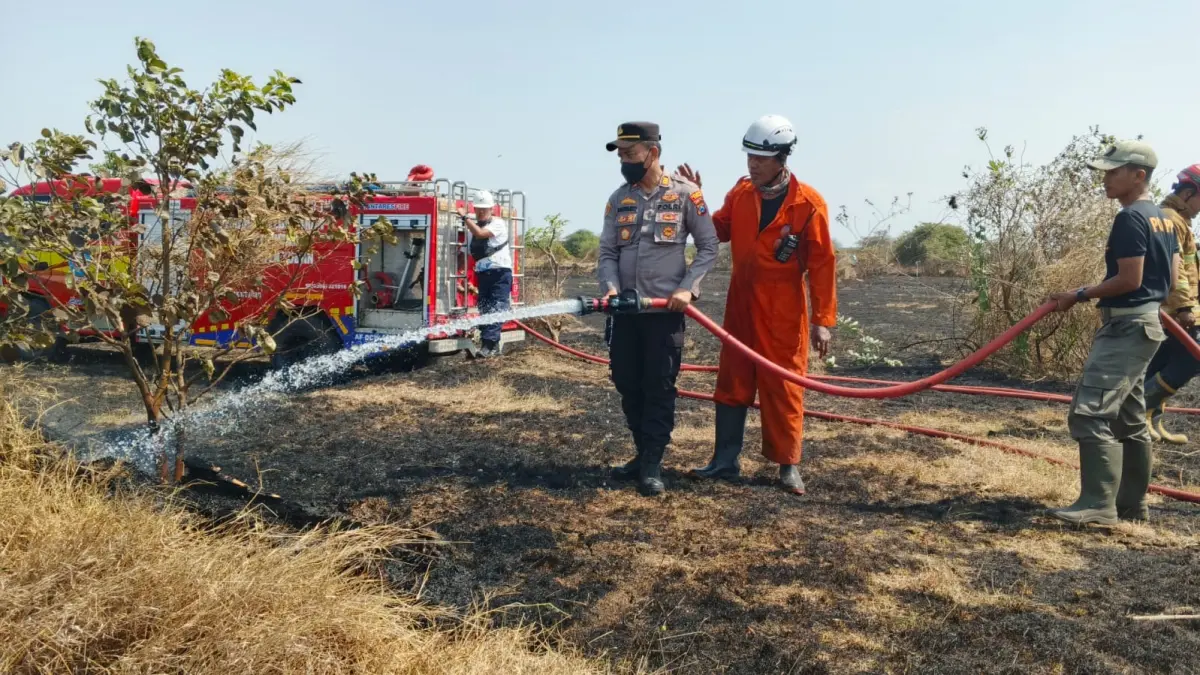 Petugas Damkar Tuban bersama aparat kepolisian melakukan upaya pemadaman di lahan proyek GRR Pertamina, Sabtu (27/9).&nbsp;(Radar Tuban)