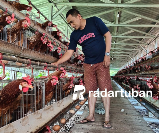 FLUKTUATIF: Bambang, peternak ayam petelur di Kelurahan Panyuran, Kecamatan Palang. / M. Mahfudz Muntaha